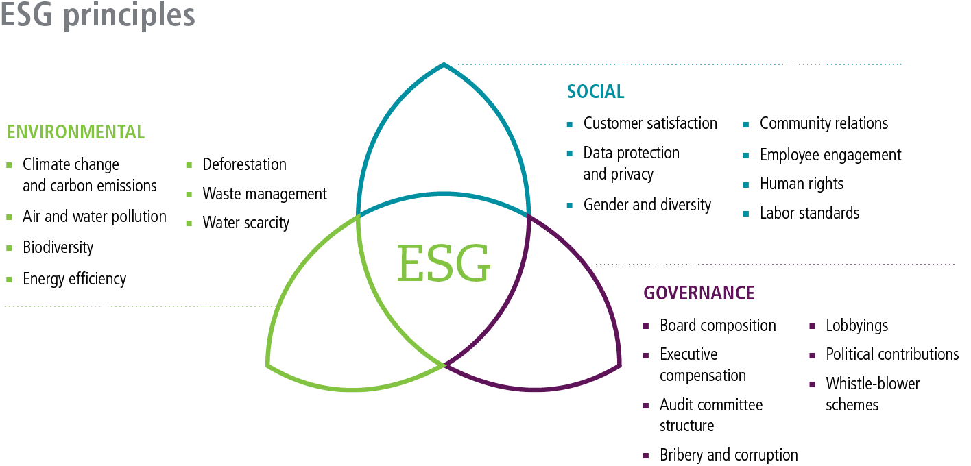 Algunos principios ESG