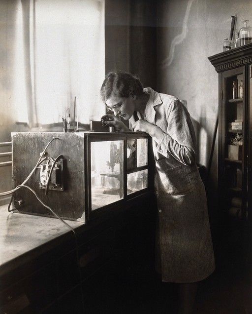 Facultad de Farmacia y Ciencias de Filadelfia: una mujer inspeccionando un microscopio en un tanque