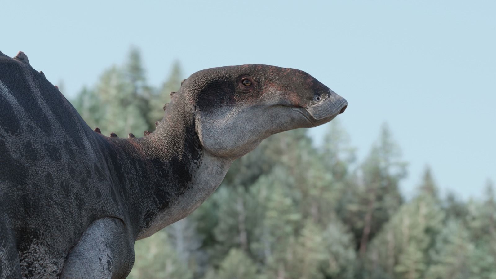 Gonkoken nanoi: lo que podría revelar el nuevo dinosaurio descubierto en la Patagonia Chilena